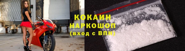 гидра Богородск