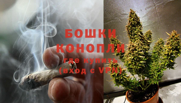 первитин Богданович