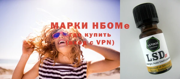 гидра Богородск