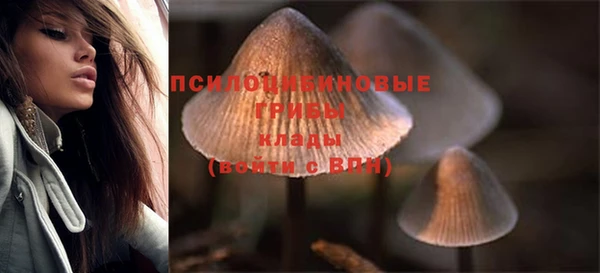 ПСИЛОЦИБИНОВЫЕ ГРИБЫ Богородицк