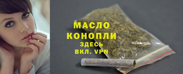 гидра Богородск