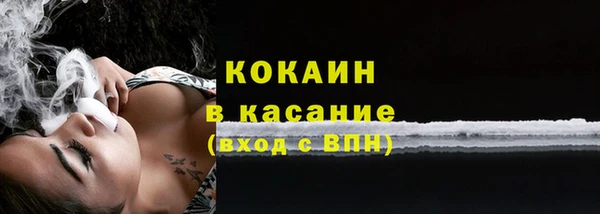 первитин Богданович