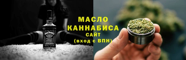гидра Богородск
