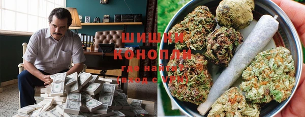 первитин Богданович