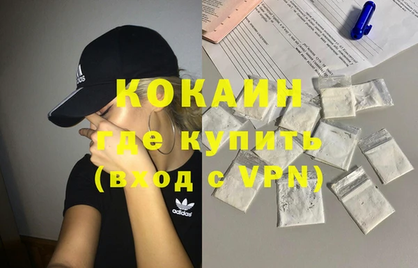 первитин Богданович