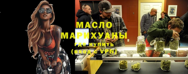 гидра Богородск
