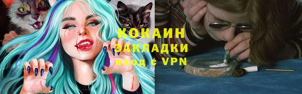 ПСИЛОЦИБИНОВЫЕ ГРИБЫ Богородицк